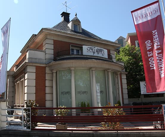 Schiller International University